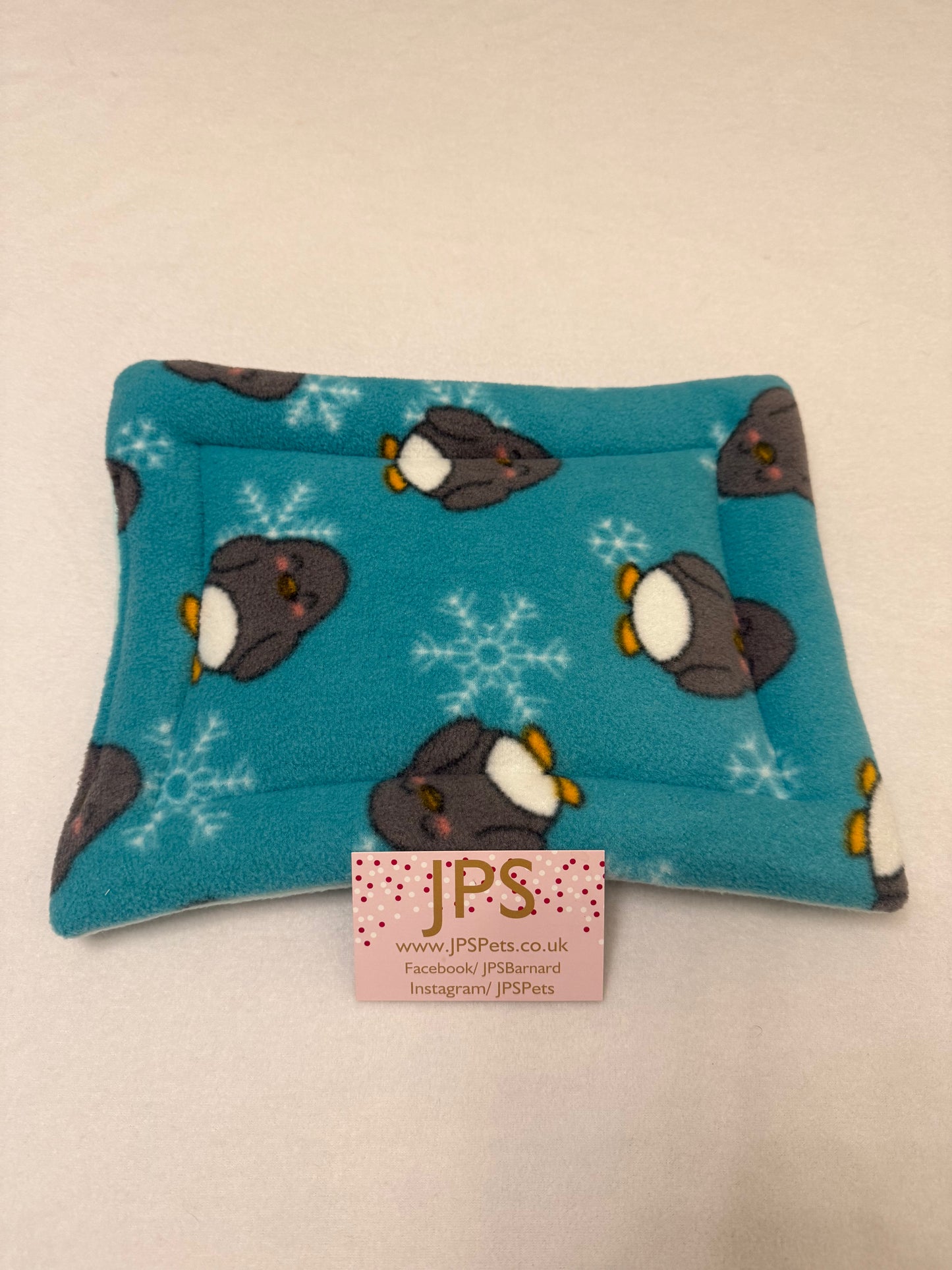 11 x 8 pad - mint penguin and mint