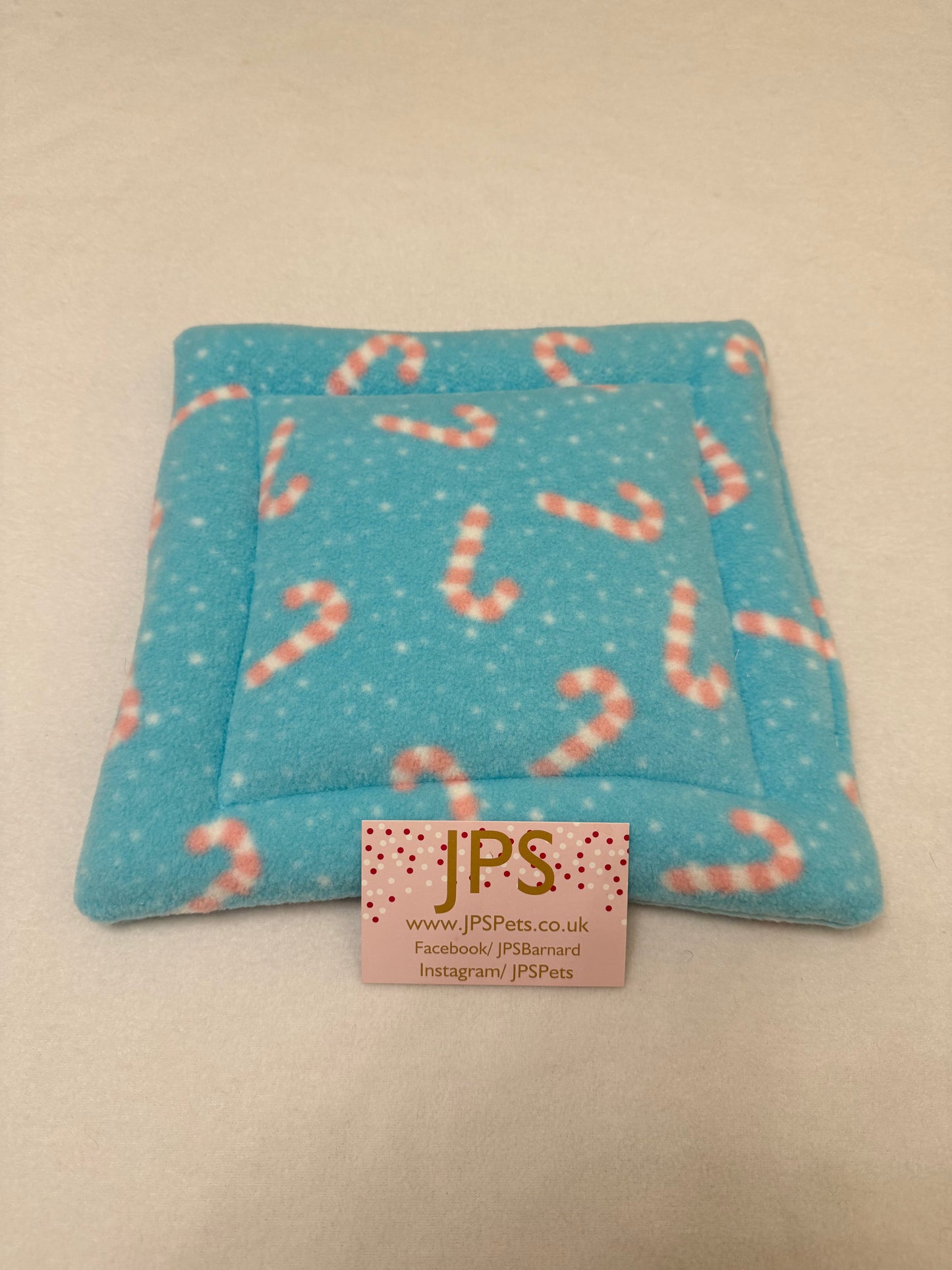 10 x 10 pad - mint candy cane