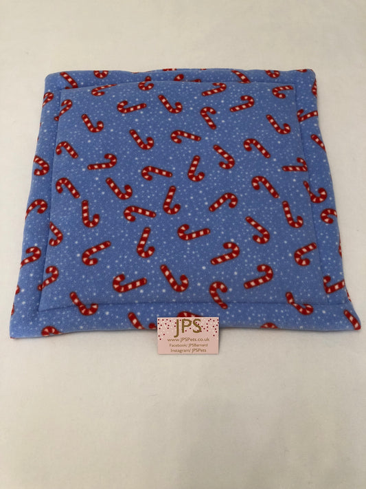 14 x 14 Inch Pad - Blue Candy Cane