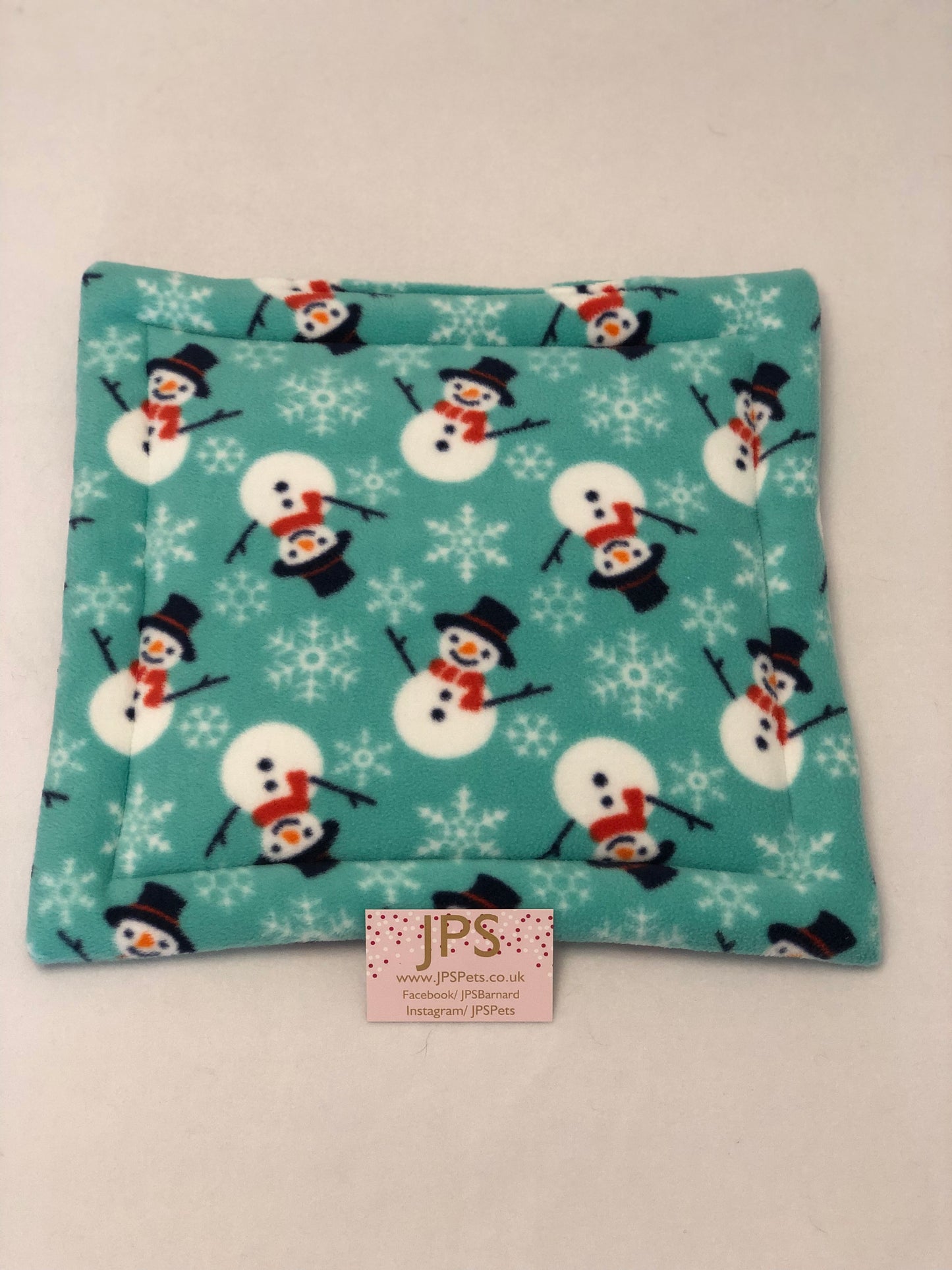 14 x 14 Inch Pad - Mint Snowman