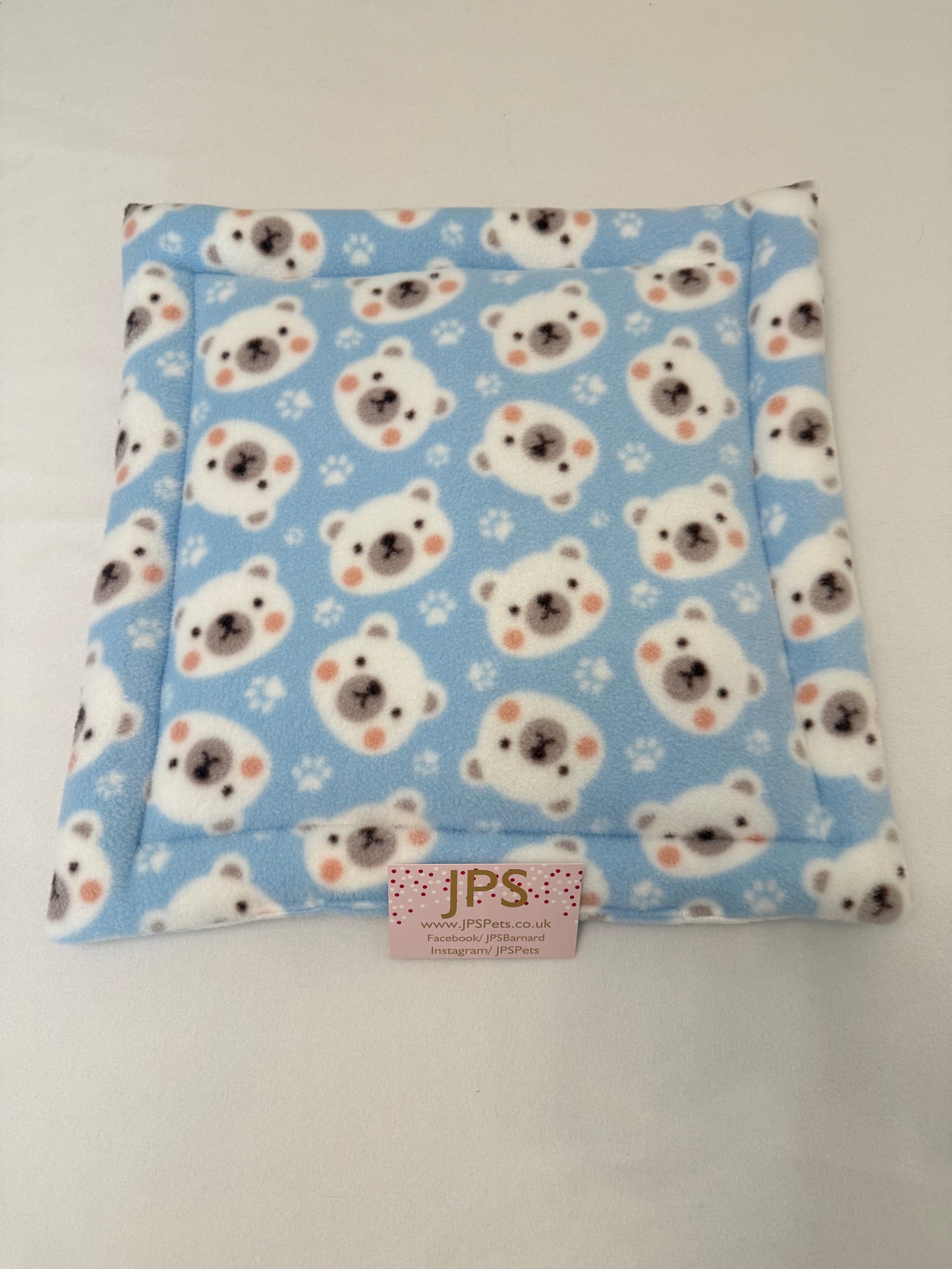 14 x 14 Inch Pad - blue bear