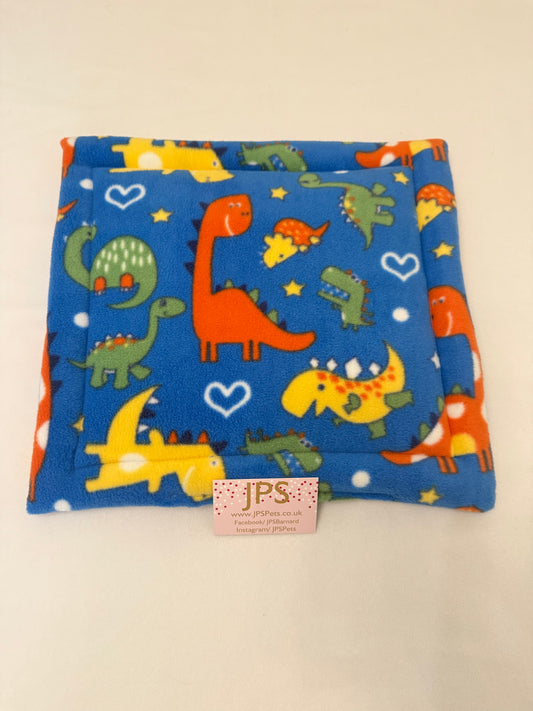 14 x 14 Inch Pad - dinosaur