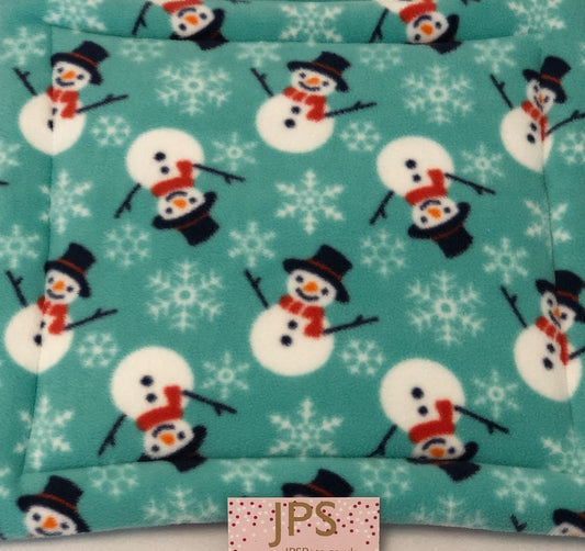 Castle Cover Set - mint  snowman