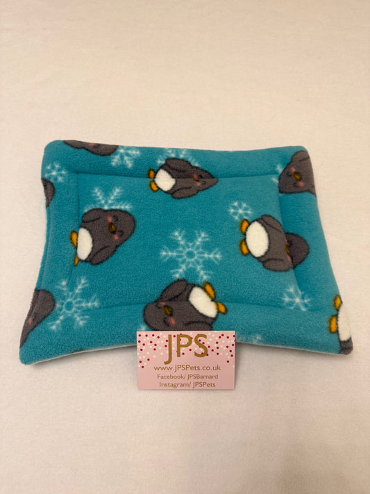 11 x 8 pad - mint penguin and mint