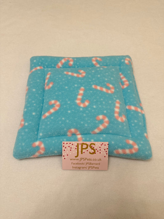 10 x 10 pad - mint candy cane