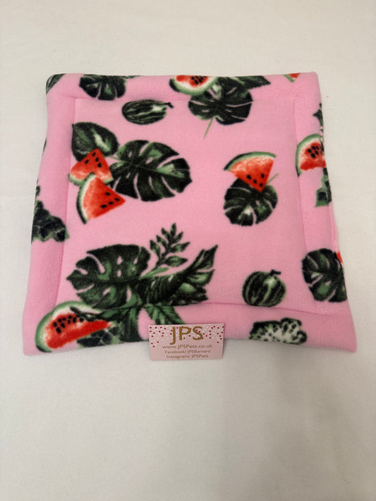 14 x 14 Inch Pad - watermelons